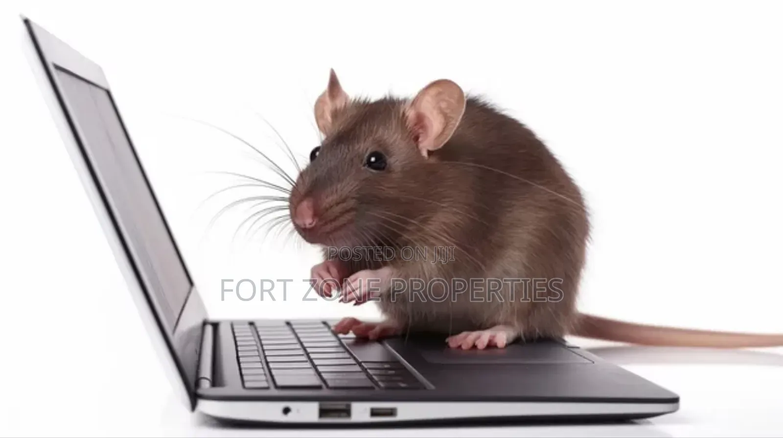 Daily Pest Treatment