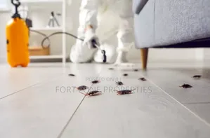 Cockraches,Mouse,Ants Master Fumigation
