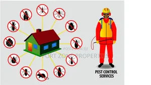 Pest Removal With Cleantex