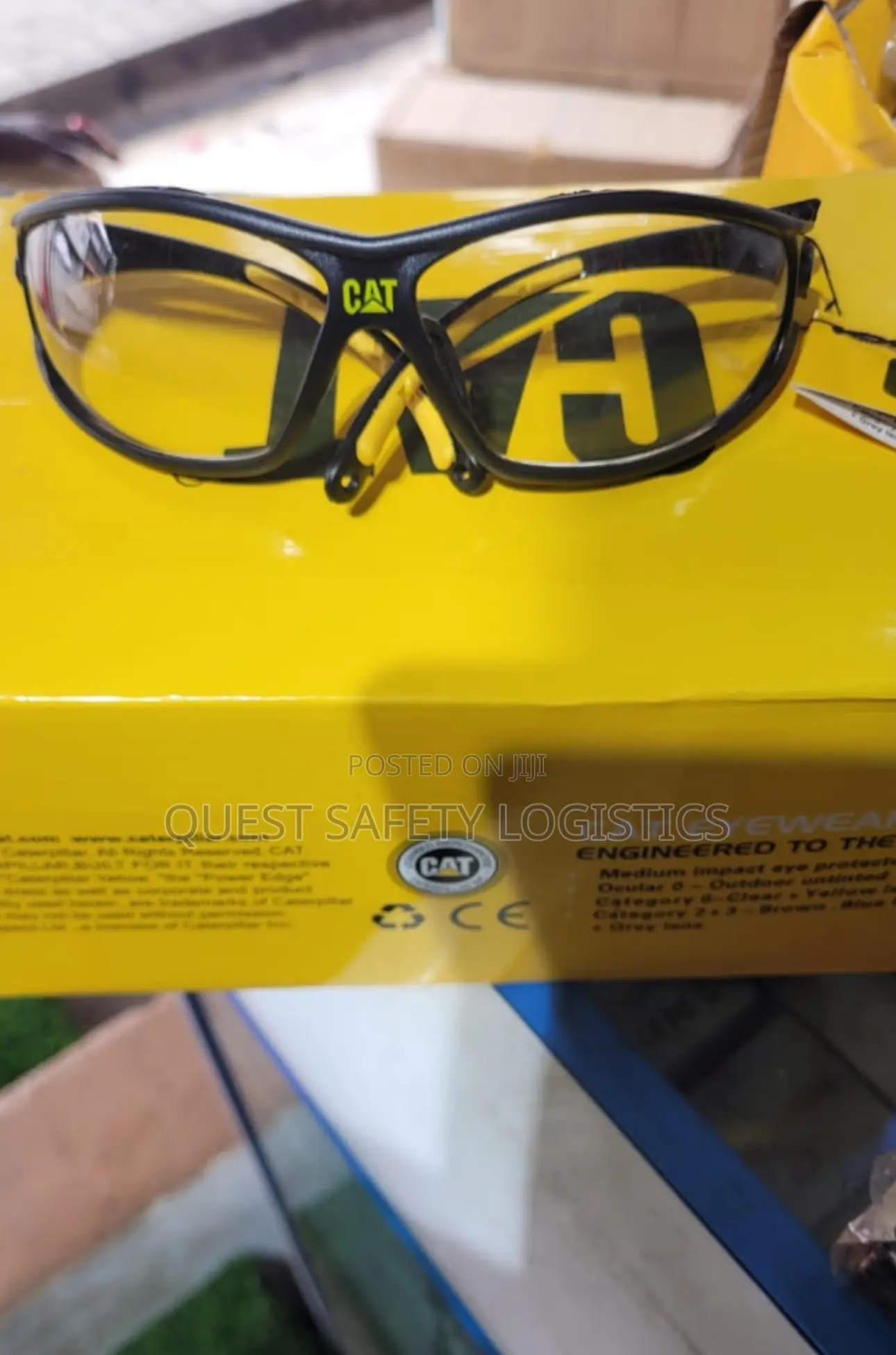 Cat Clear Goggles