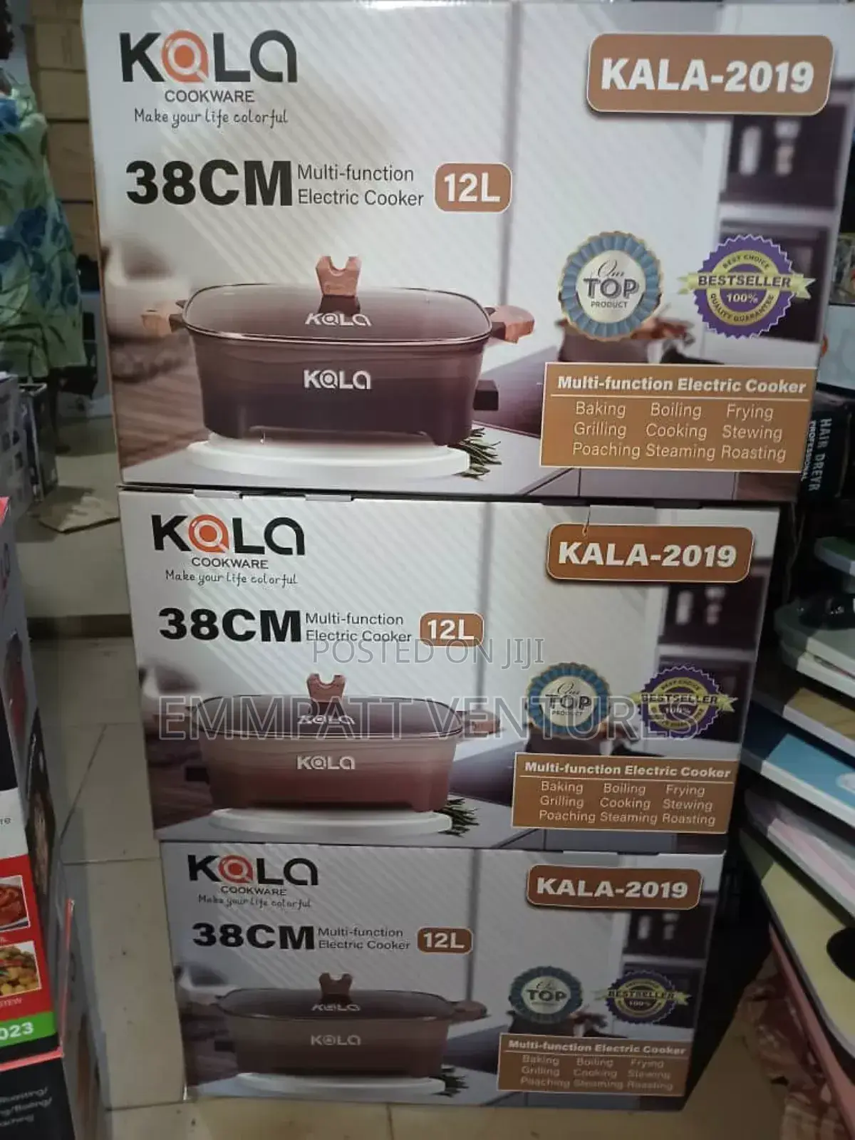 12L Multi Functional Electric Cooker