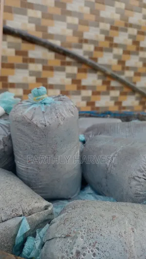 Mushroom Readymade Substrate Bags for Sale