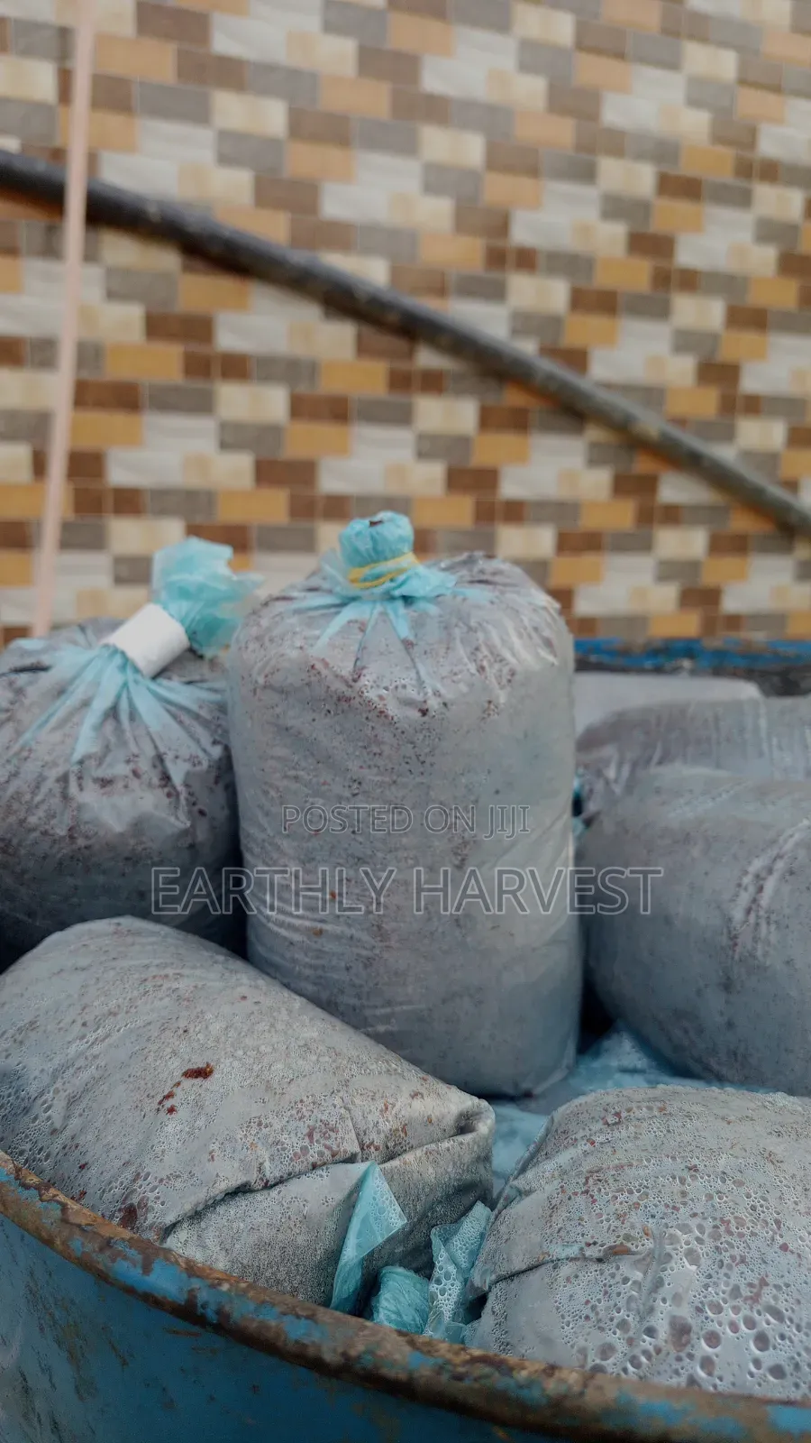 Mushroom Readymade Substrate Bags for Sale