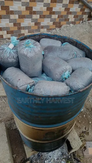 Mushroom Readymade Substrate Bags for Sale