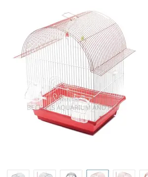 Birdcages for Domestic Cannery