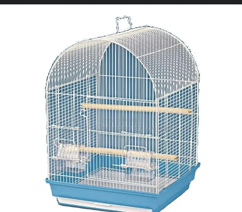 Cages for Blue -Headed Parrots