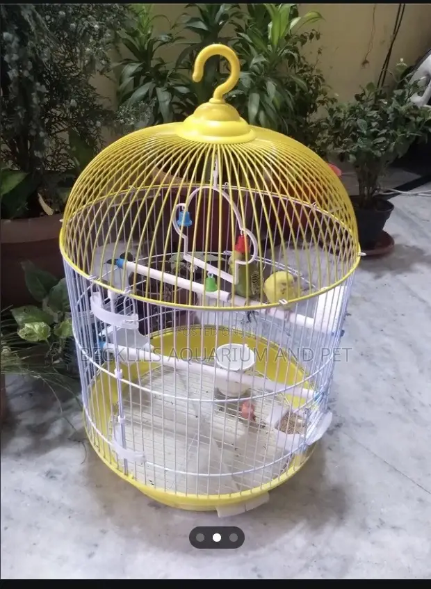 Birdcage for Vaasa Parrots
