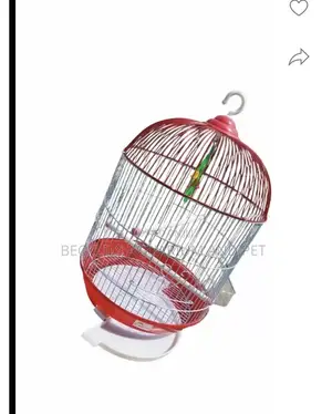 Birdcage for Vaasa Parrots