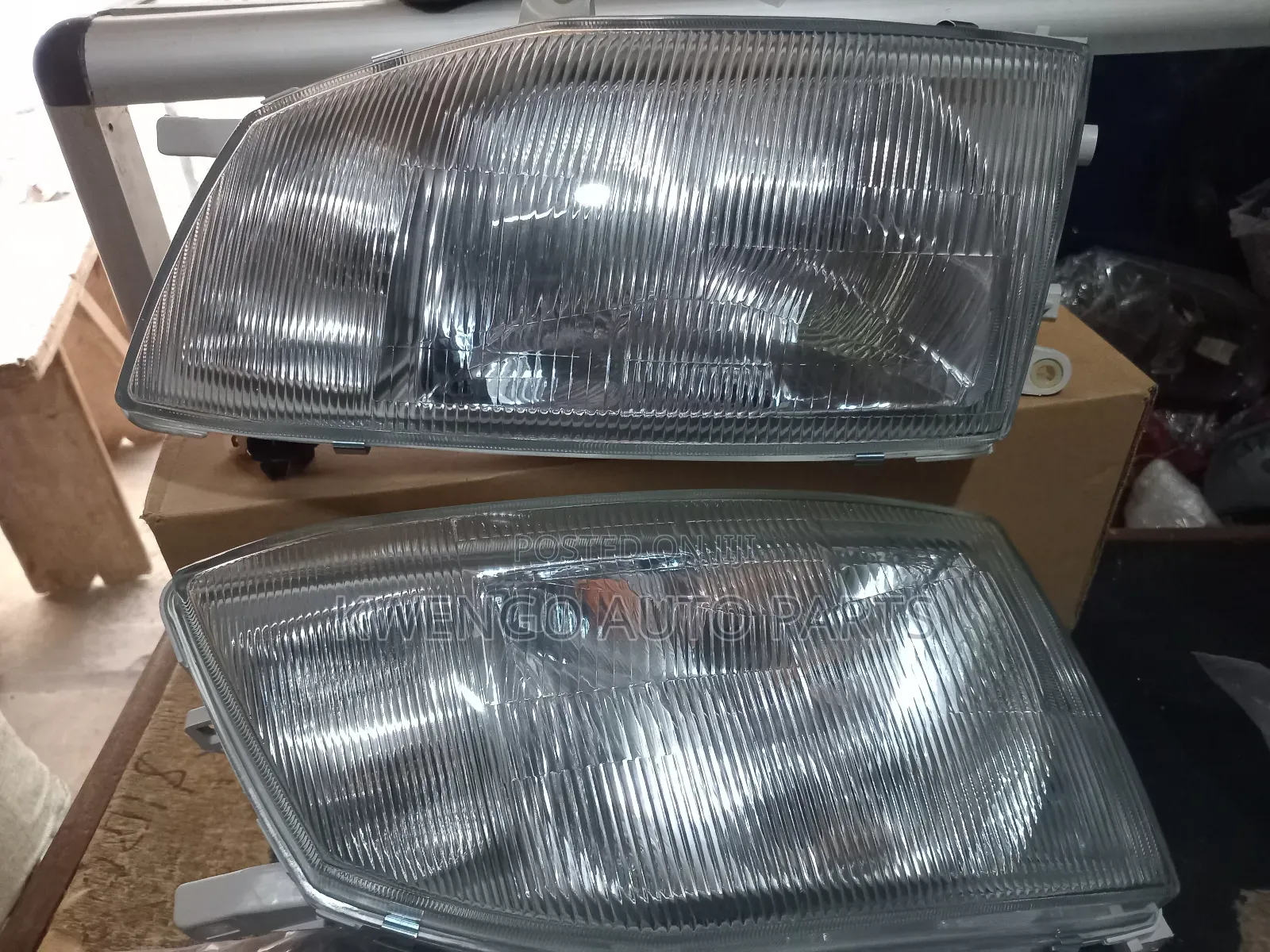Fish Headlight
