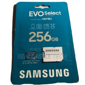 Samsung Evoplus Micro SD