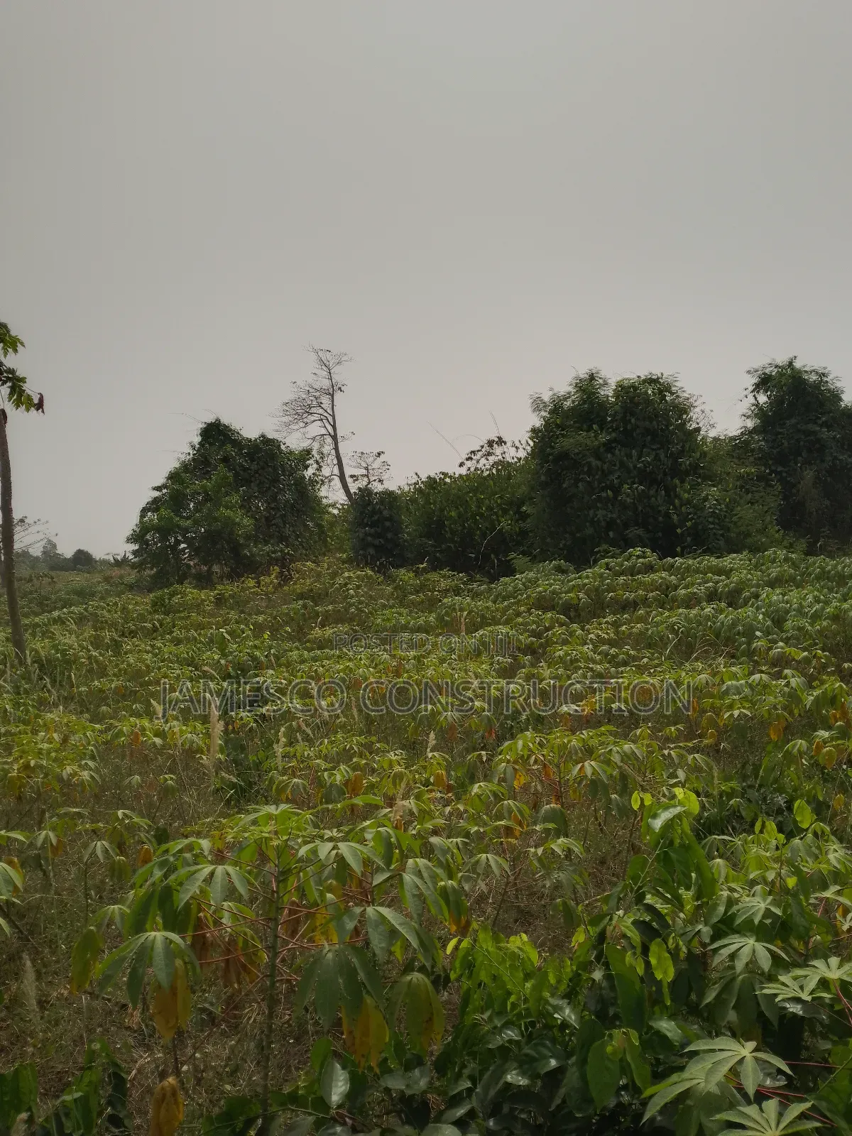 Residential Lands for Sales