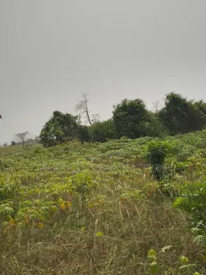 Residential Lands for Sales