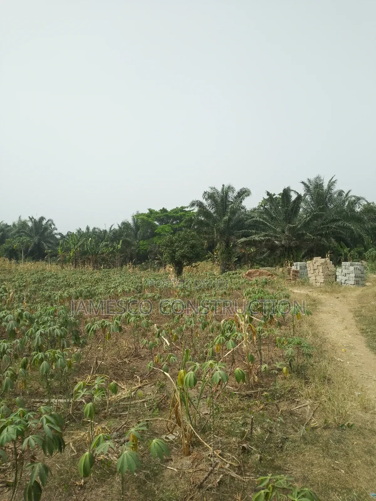 Residential Lands for Sales