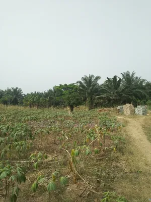Residential Lands for Sales