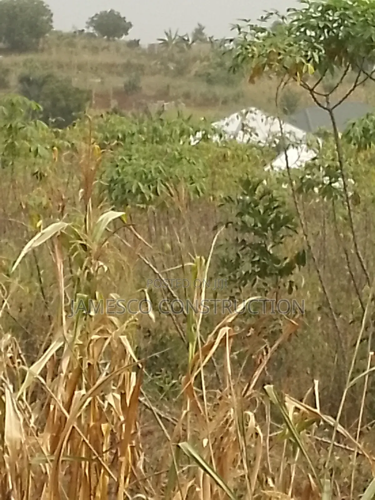 Residential Lands for Sales