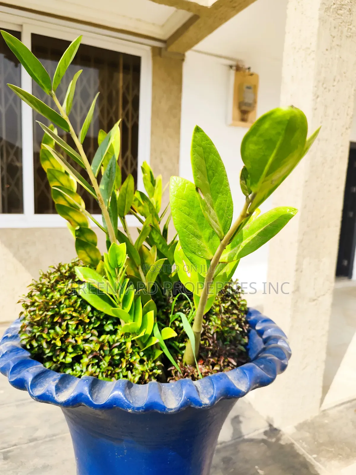 4bdrm House in C5, Lake Side Estate for rent