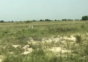 Escape From Your Hustle by Owning an Estate Land, "Dominase