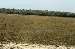 Build Your Dream Home in a Perfect Location, "Prampram