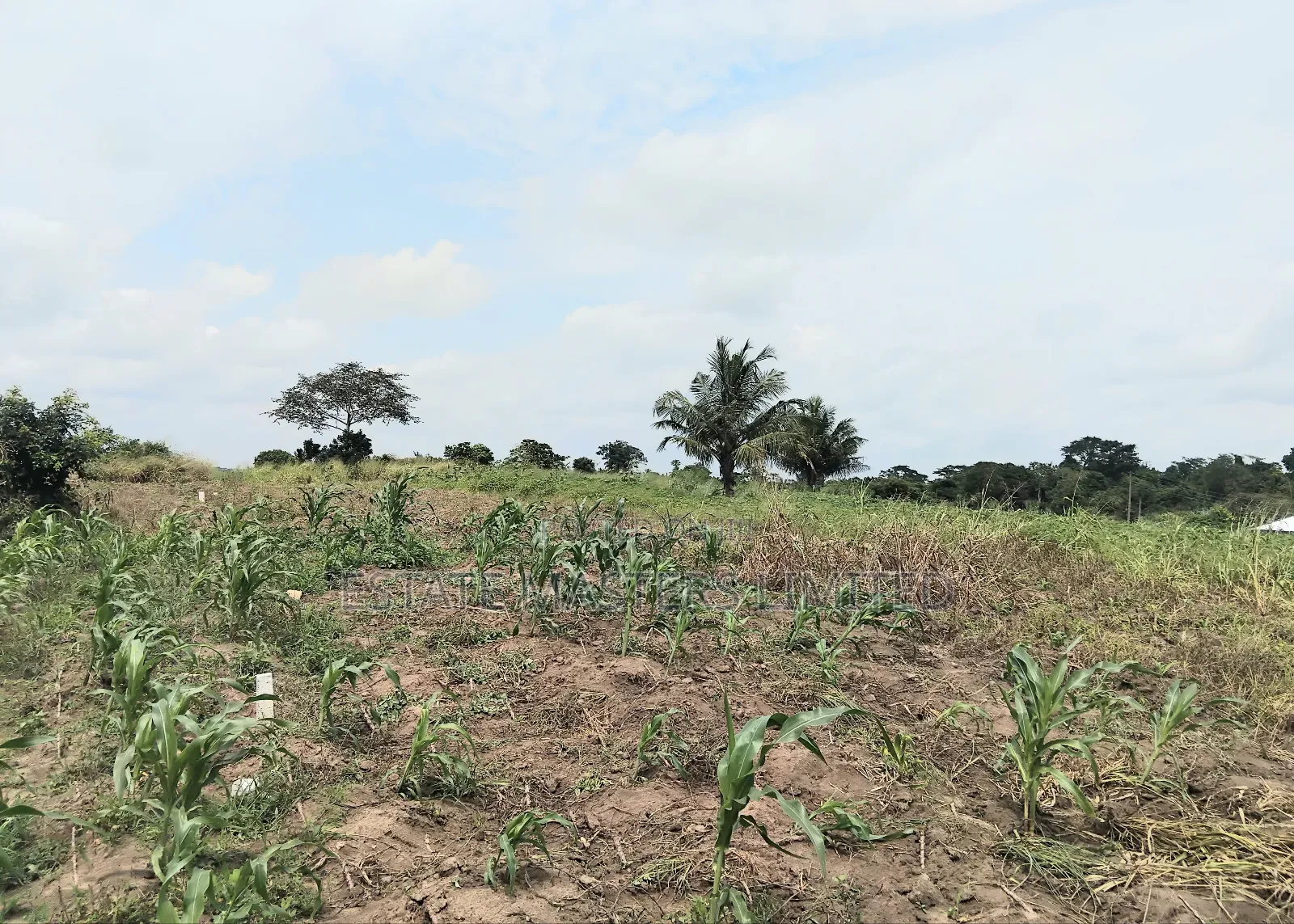 Buy Now, Pay Later. Flexible Land Payment Plan, " Dominase