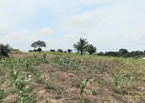 Buy Now, Pay Later. Flexible Land Payment Plan, " Dominase
