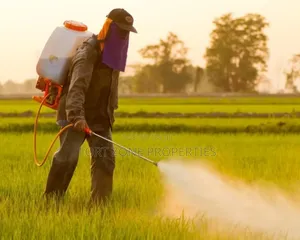Pest Cleaners Fumigation Services