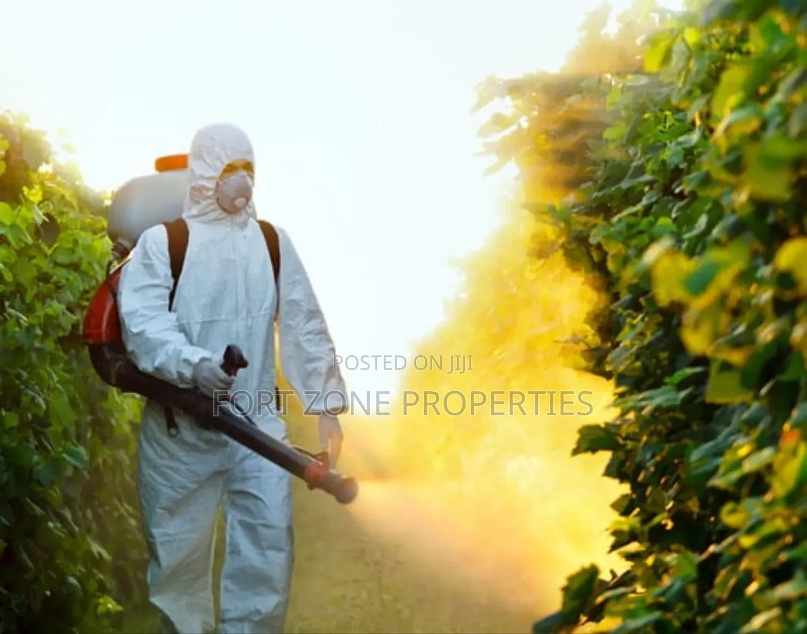 Pest Cleaners Fumigation Services