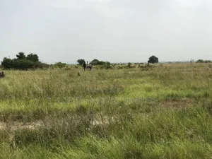 Perfect Location to Your Dream Home, Prampram Land for Sale