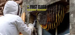 First Class Fumigation Service With Cleantex