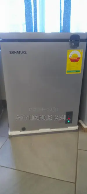 Signature Freezer 150l