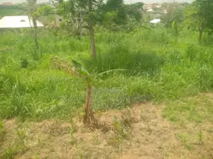 Plot of Land Forsale at Kansawurado-Mapong