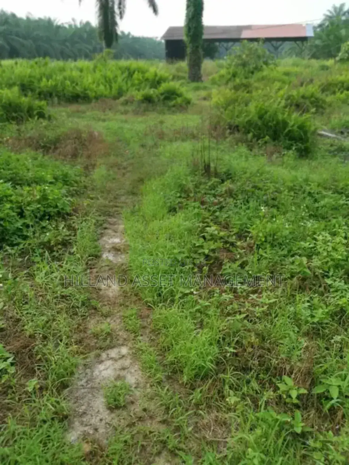 Plot of Land Forsale at Kansawurado-Mapong