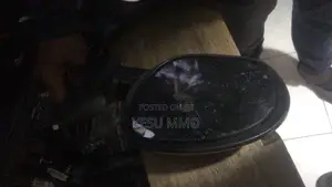 Nissan Juke 2012 Side Mirror