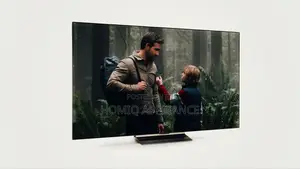 Lg Oled Evo Gallery Edition G2 65 Inch Smart Tv 2022