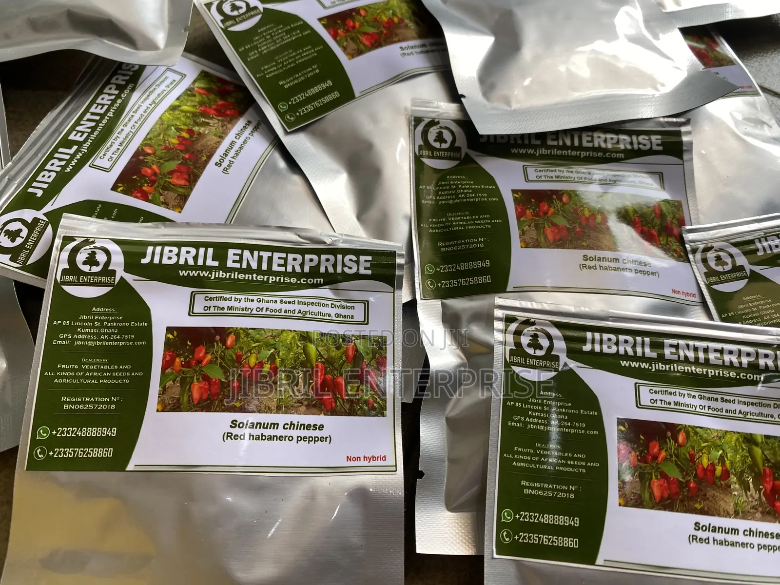 Red Habanero Pepper, Very Hot, Long Shelf Life, Non Hybrid,