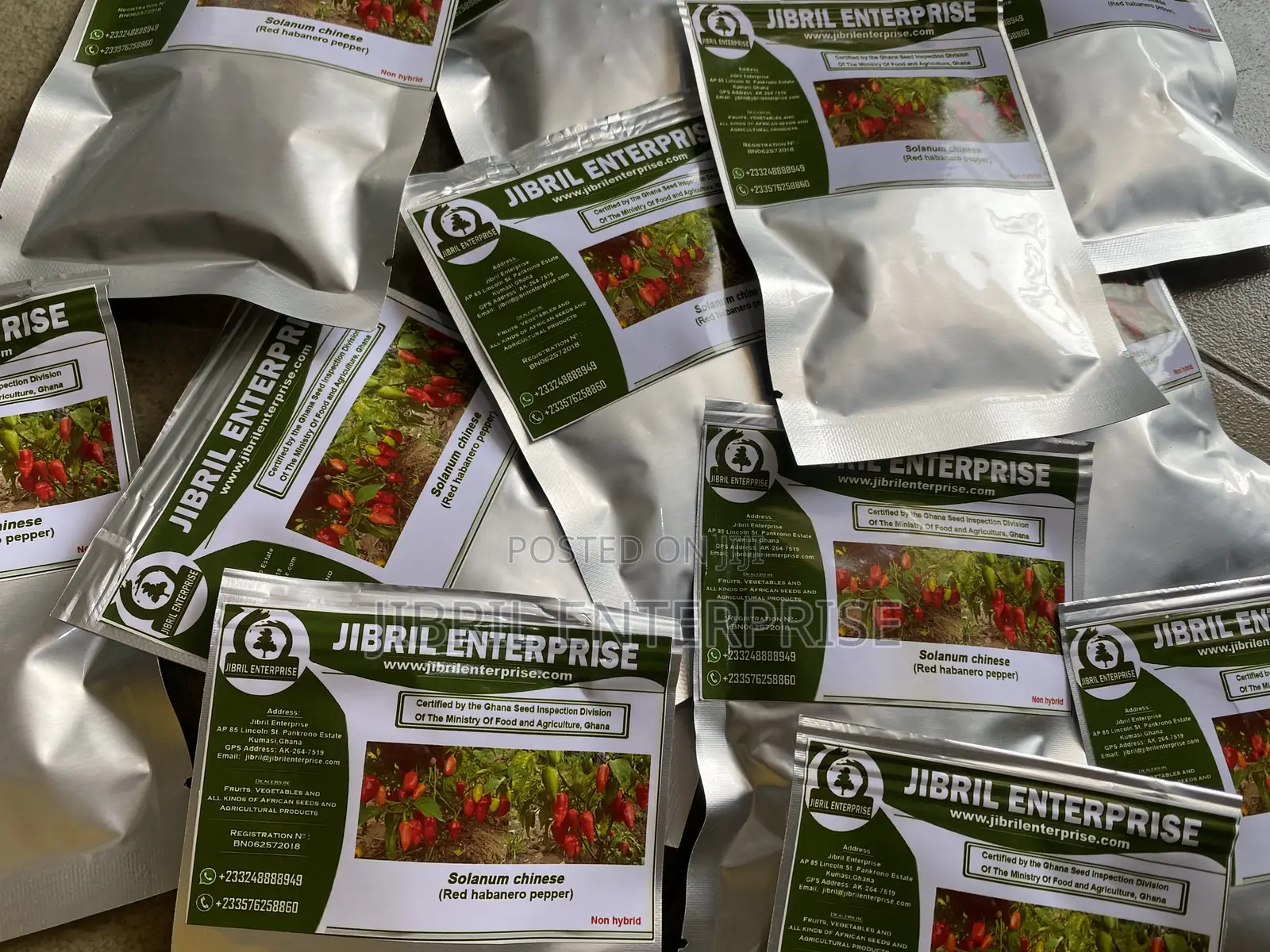 Red Habanero Pepper, Very Hot, Long Shelf Life, Non Hybrid,