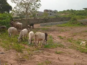 Land at Kwabenya Comet Estate