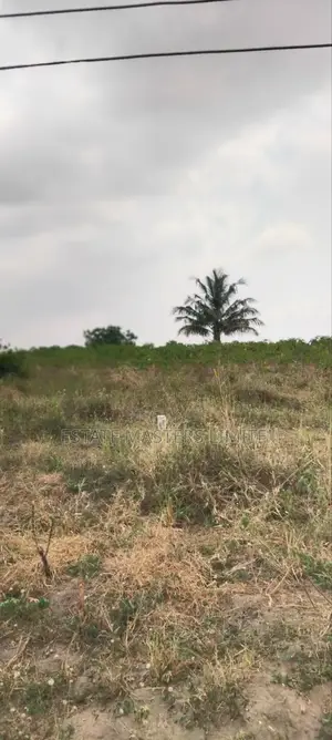 Five Acres of Lands Available for Sale