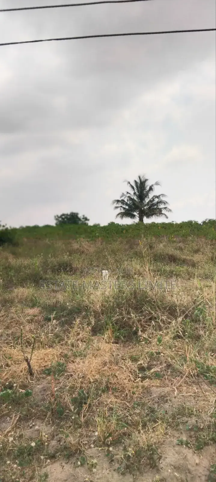 Five Acres of Lands Available for Sale