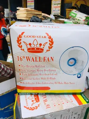 Cool Down With Good Star 16”Wall Mounted Fan