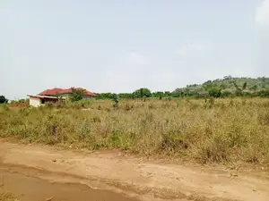 1 Plots for Sale at Nsawam Anoff Closer to Road Side