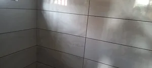 Professional Tiling Ever