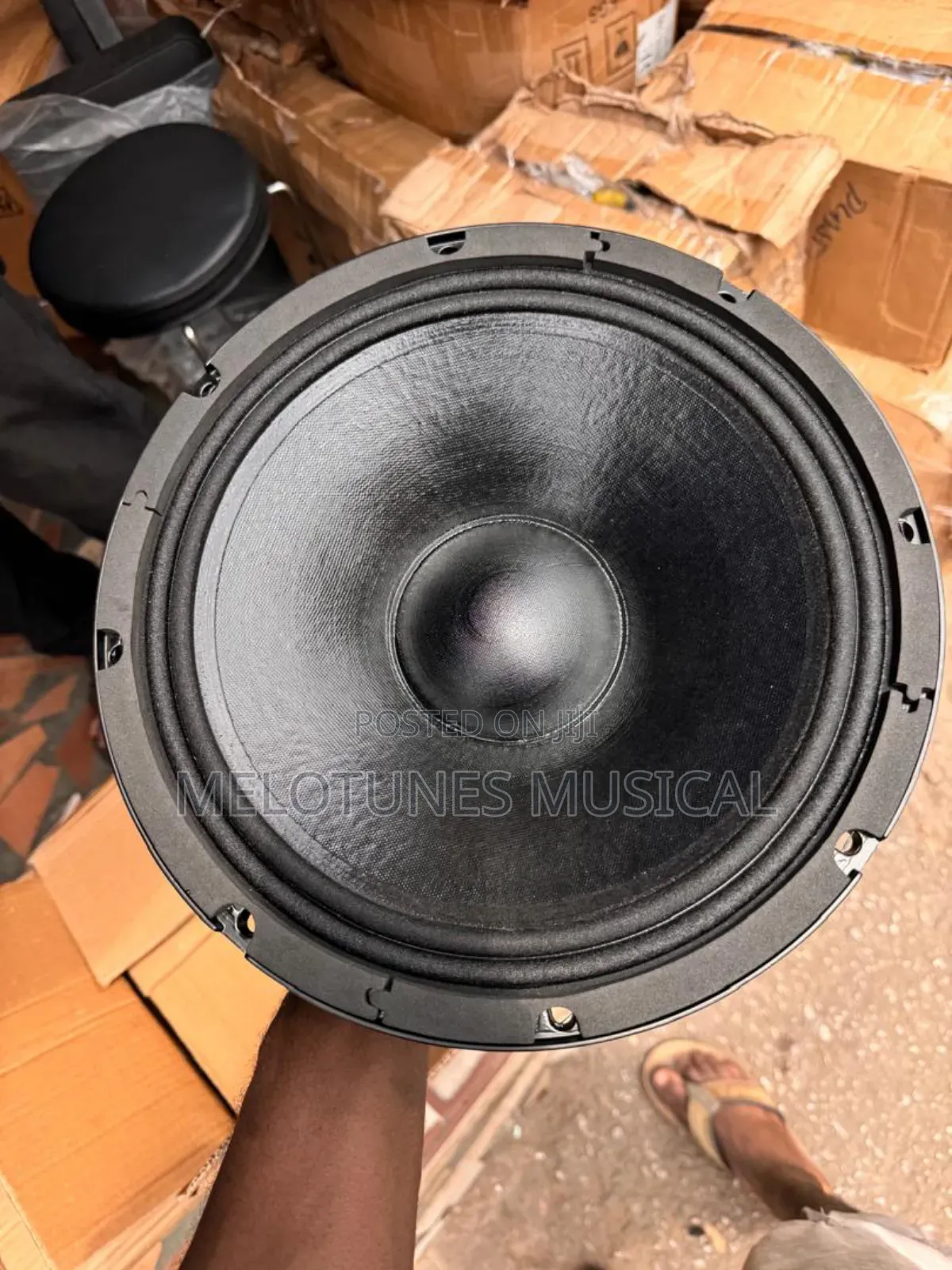EV 12inches Single Magnet Naked Speakers [1pair]
