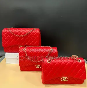 3 in 1 Chanel Bags