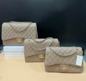 3 in 1 Chanel Bags