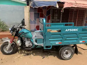 New Apsonic AP150ZH-175 2024 Green