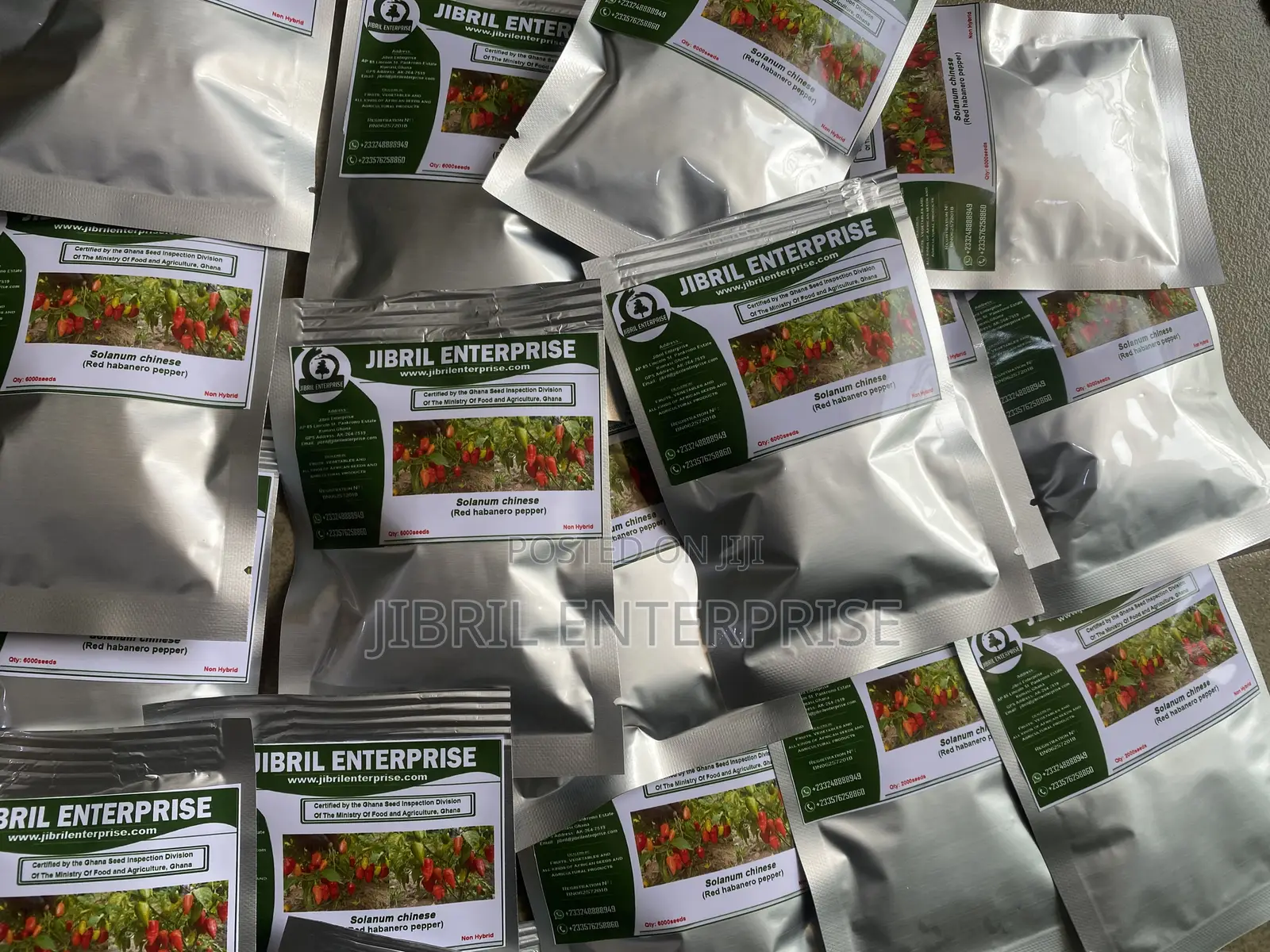 Red Habanero Pepper, Very Hot, Long Shelf Life, Non Hybrid,