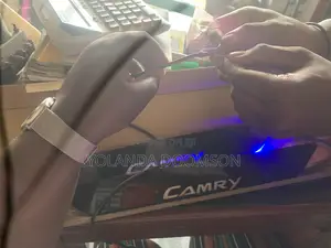 Camry Step Door Light
