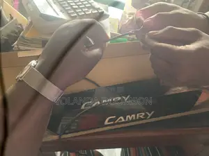 Camry Step Door Light