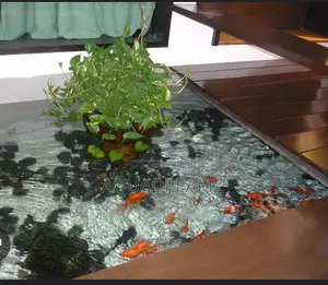 Koi Fish Pond Builders