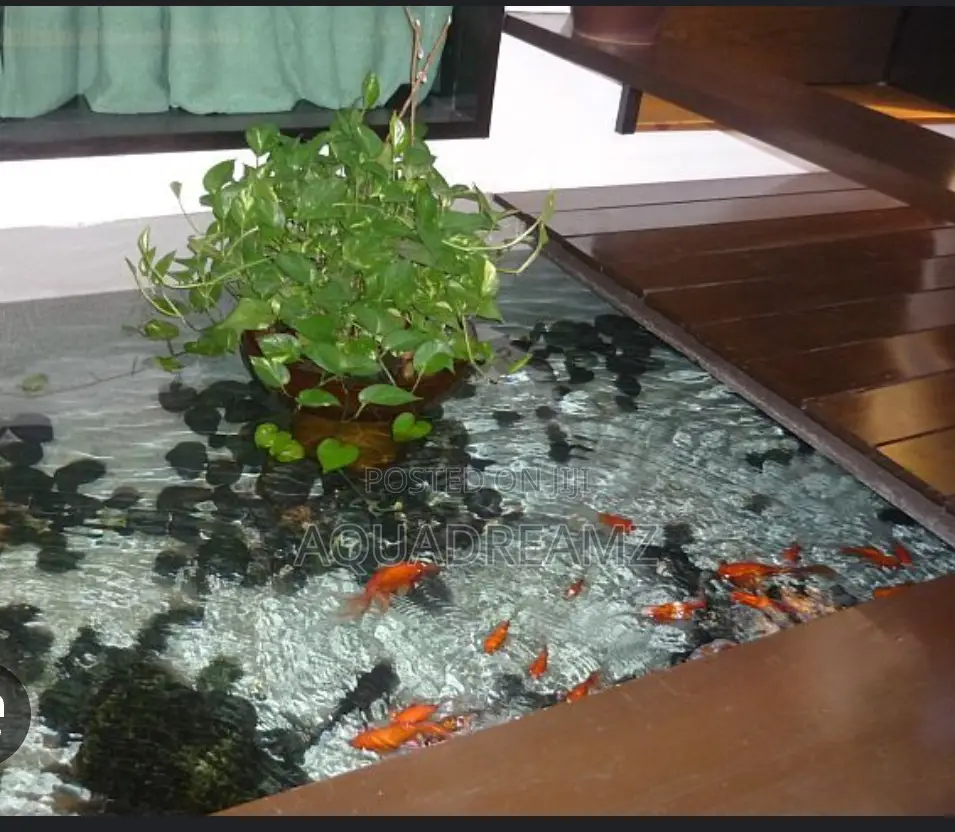 Koi Fish Pond Builders